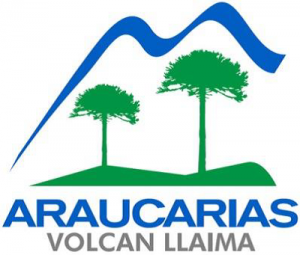 araucarias